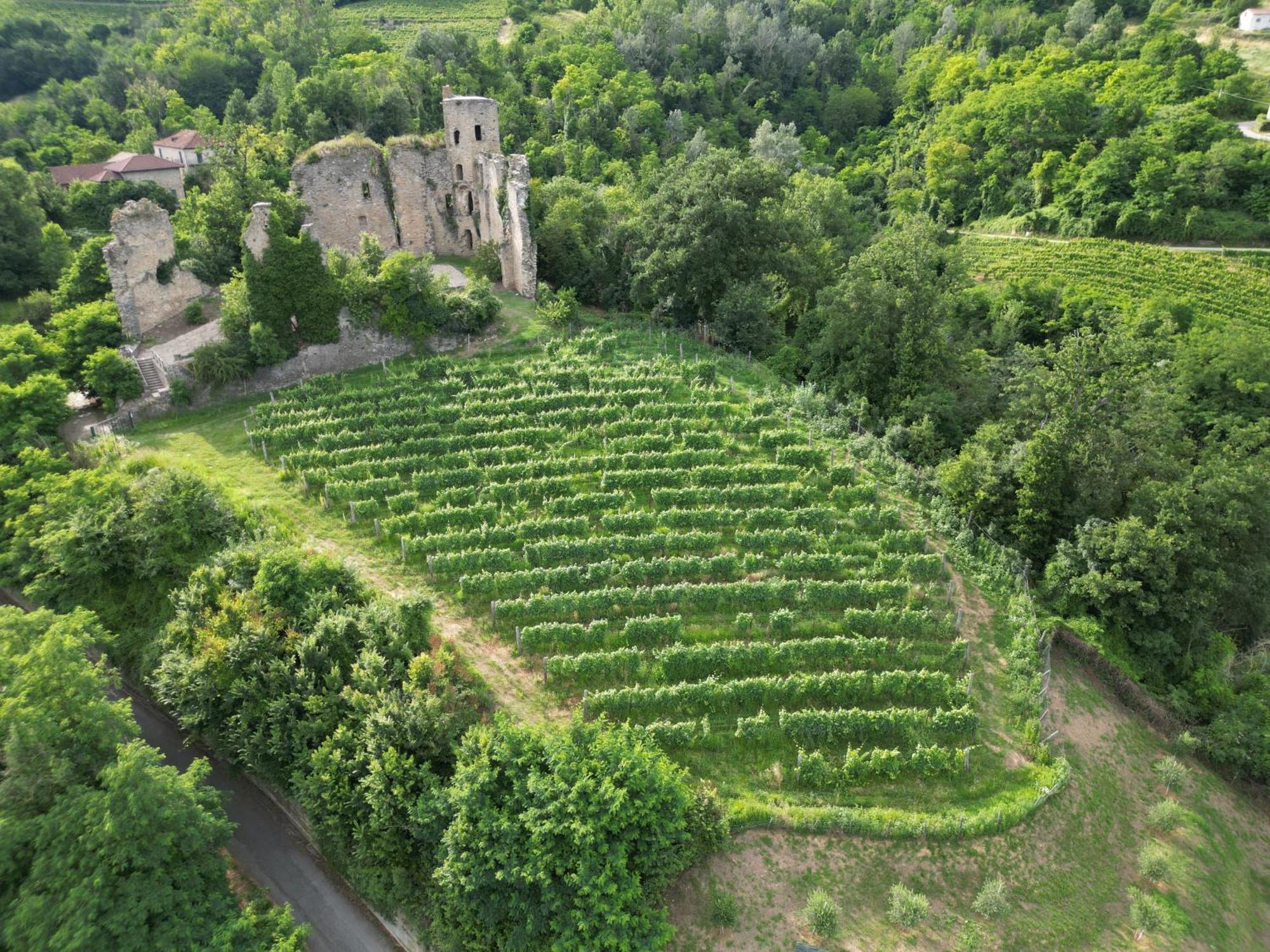Villa Gelso Vesime Екстер'єр фото